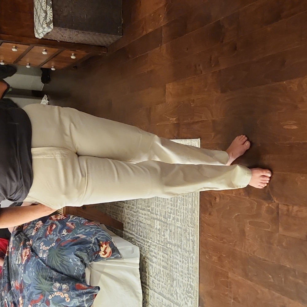 Banana Republic Authentic Chino